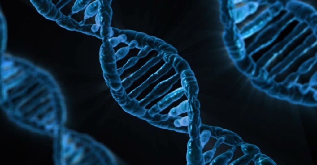 Elica di DNA