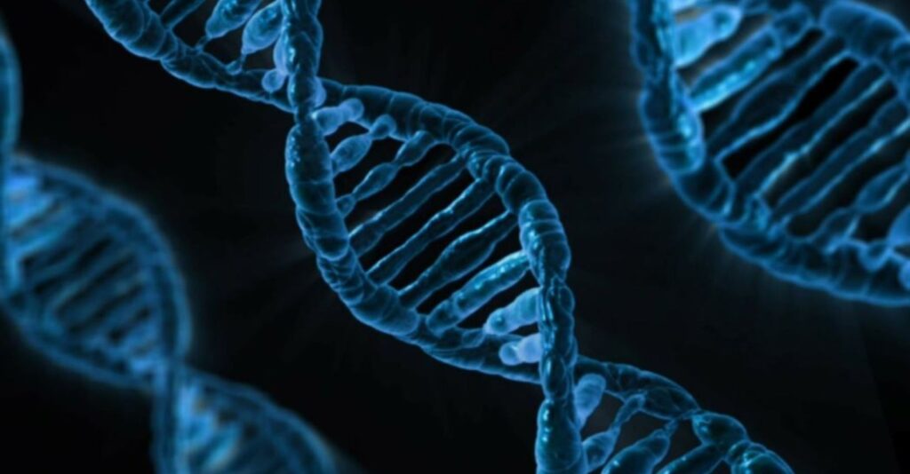 elica di DNA