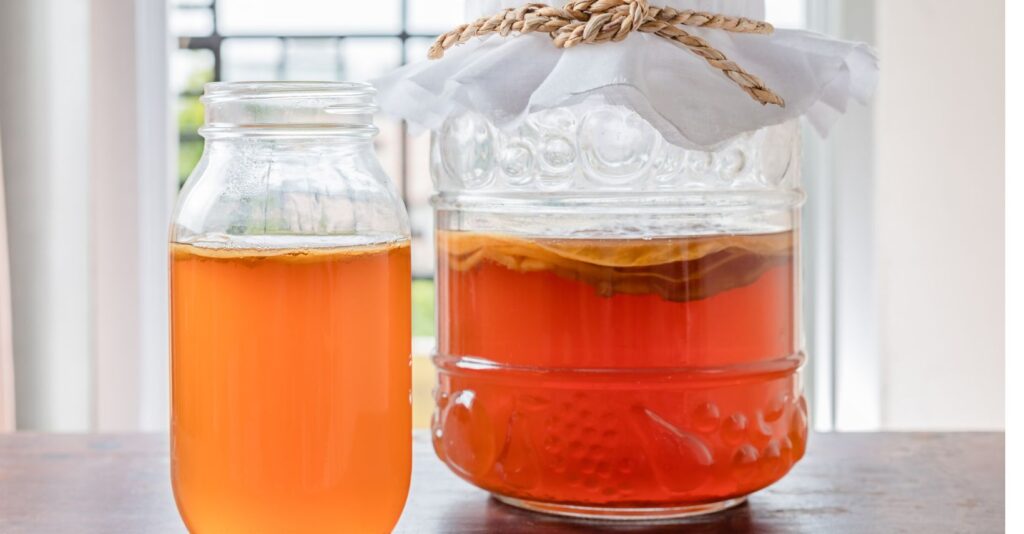due vasi di kombucha